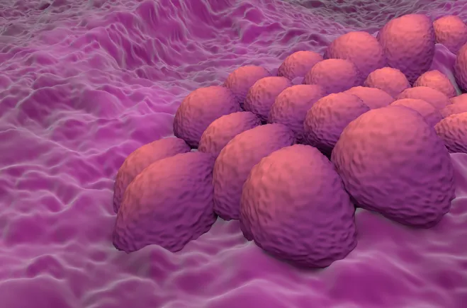 Merck ADC, licensed from China, hits mark in first big global trial