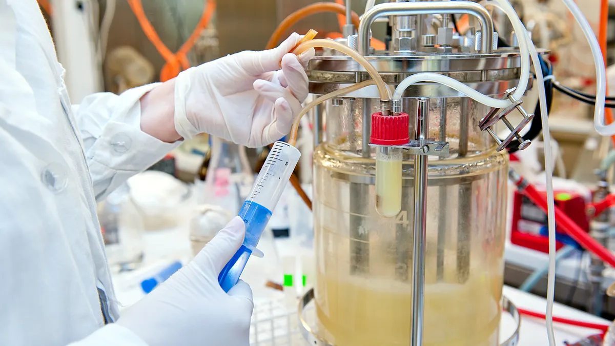 A person in a lab coat and gloves takes a sample of yellowish liquid from a small glass bioreactor in a lab setting.