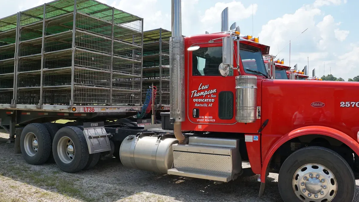 A Lew Thompson & Son poultry truck.