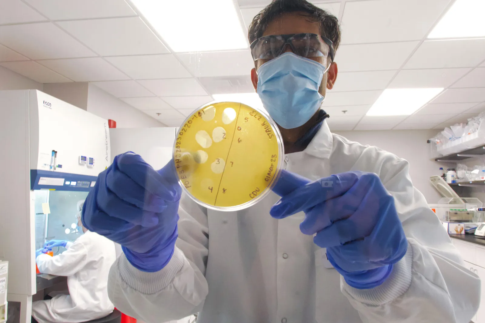 A worker in a white lab coat holds up a petri-dish filled with a yellow liquid that has clear spots throughout