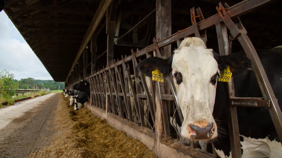 Hershey, Land O'Lakes dairy sustainability initiative