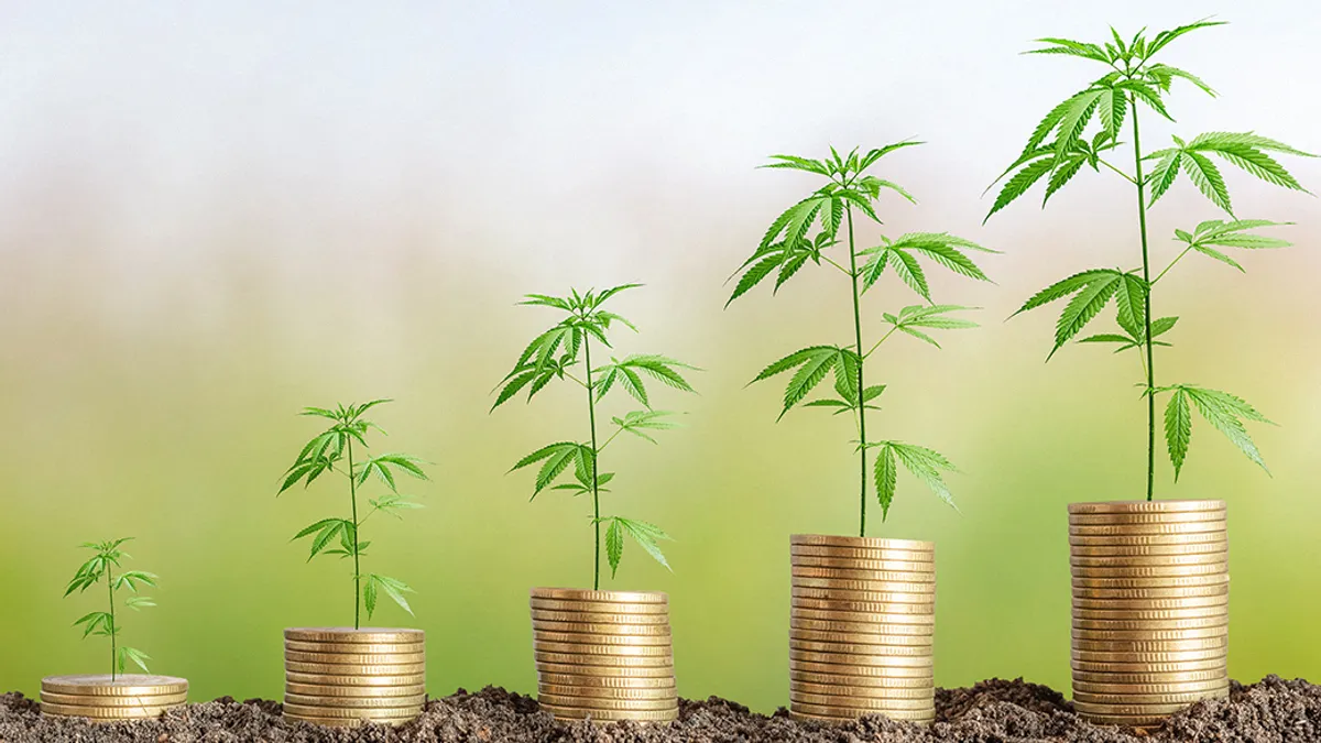 Cannabis plant on coins stack.Marijuana growing business concept.