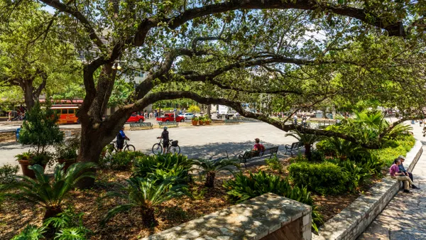 Two bicyclists, pedestrians, cars and a red tour bus seen framed by a large tree on a sunny day.