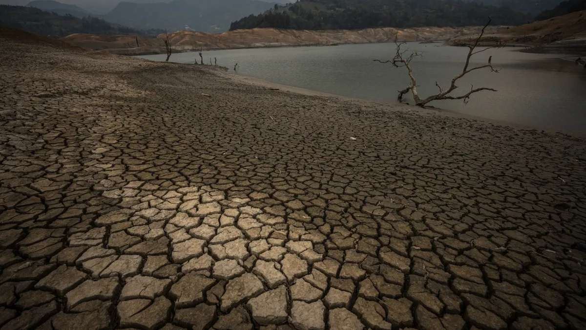 A tree trunk lies on a now dry section of the El Guavio Water Reservoir.