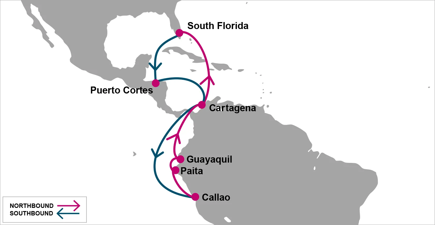 Ocean Network Express announced in July a new service called FLX, which connects South America&#x27;s west coast to Florida.