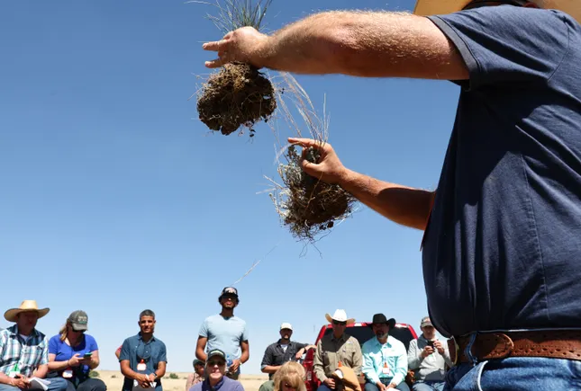 Perdue Farms backs new regenerative agriculture and environmental initiative
