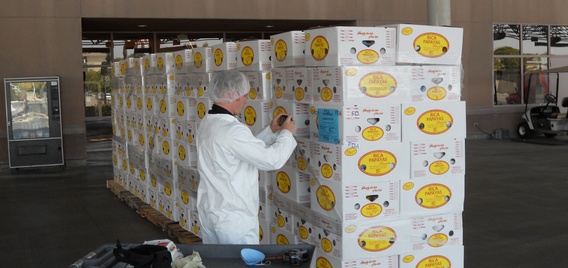 food safety inspection