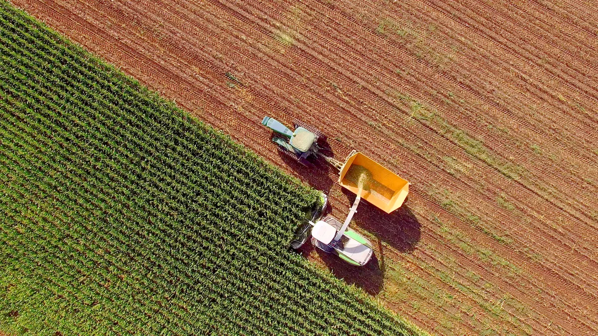 Farm machines harvesting corn