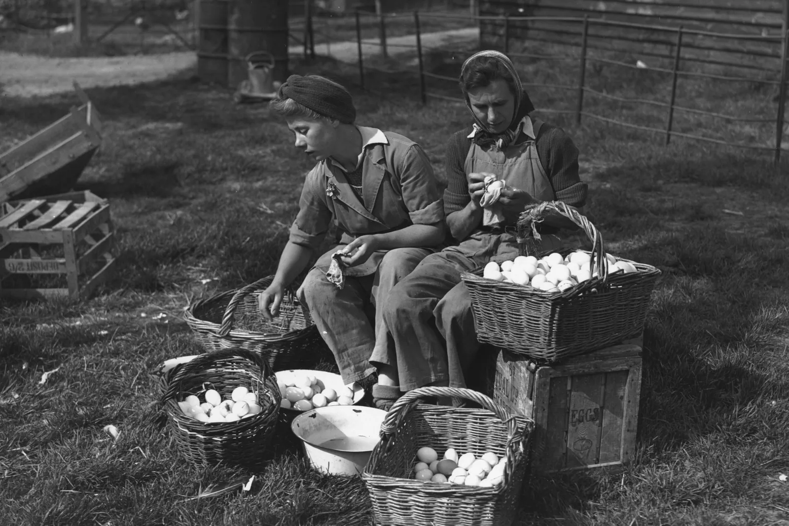 Two people wash eggs.