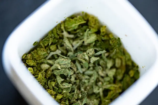 Florida employers can ding workers for off-duty medical marijuana use, state appeals court says Florida employers can ding workers for off-duty medical marijuana use, state appeals court says