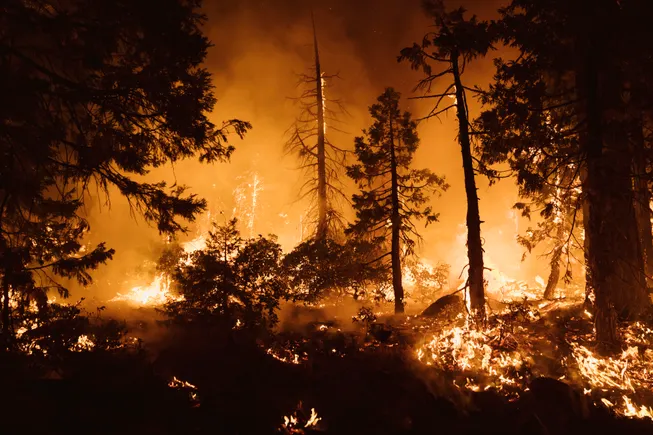 5 things colleges can do to help save the planet from climate change ...