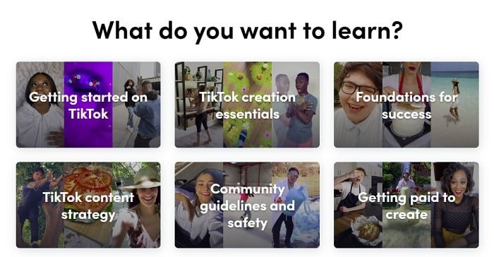 TikTok Creator Portal