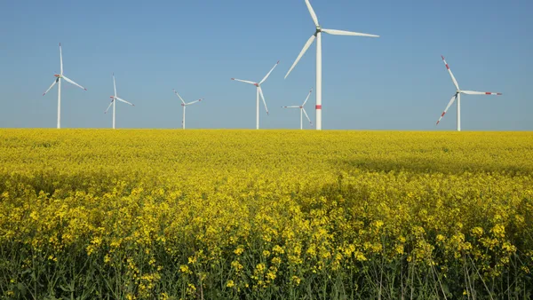 Wind turbines spin over a field of canola, also called rapeseed, at a wind park on May 10, 2023 near Pinnow, Germany.