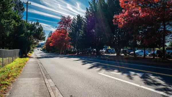 Trees with autumn color lining a street.