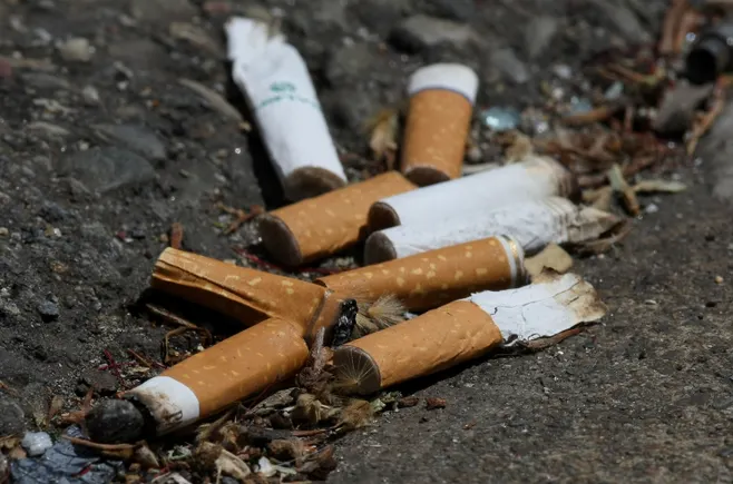challenges holding tobacco industry accountable plastic waste filters Shareholder resolution calls for tobacco company to pay to clean up plastic  cigarette filter litter