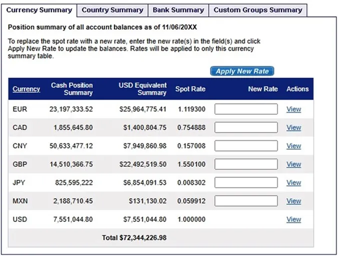 Cash balance summary