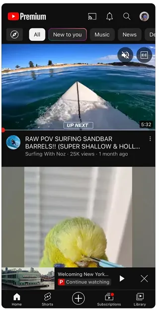 YouTube Premium update