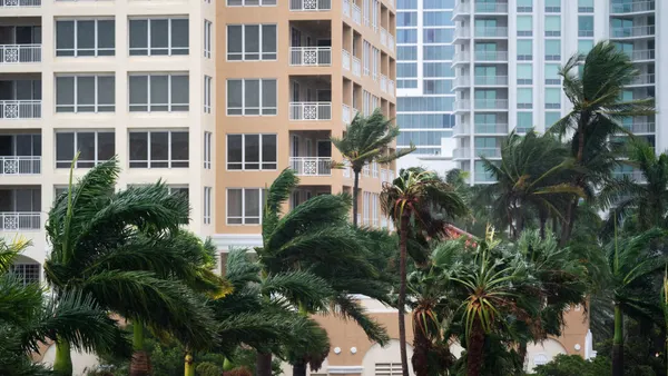 Palm trees are blown by a heavy wind, with tall apartment buildings in the background.