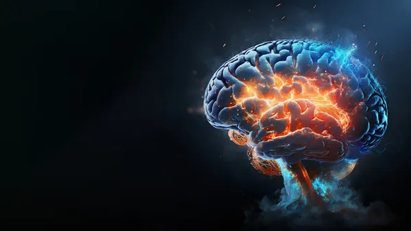Brain