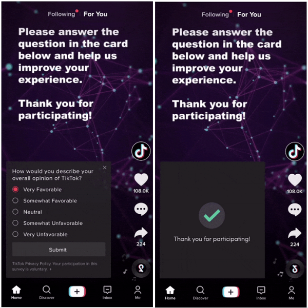 TikTok Brand Lift study example