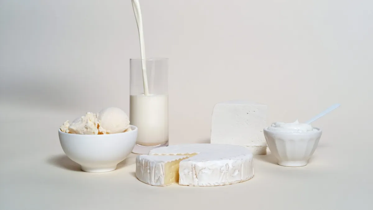 Products made with Perfect Day's animal-free dairy proteins.