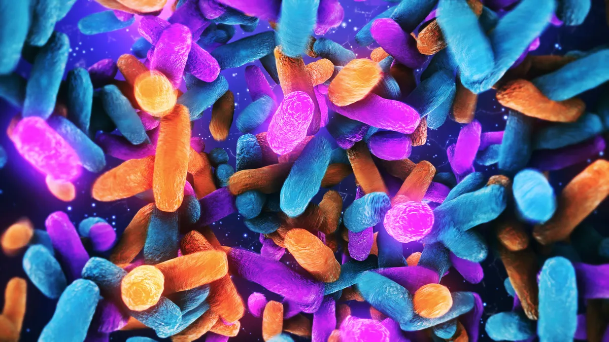 A collage of pnk, blue and orange bacteria-like blobs float around against a dark blue background.