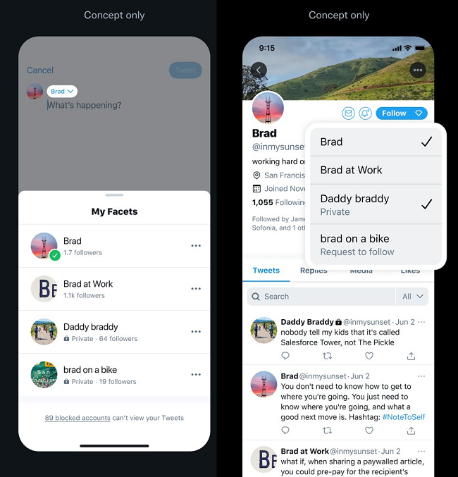 Twitter Facets mock-up
