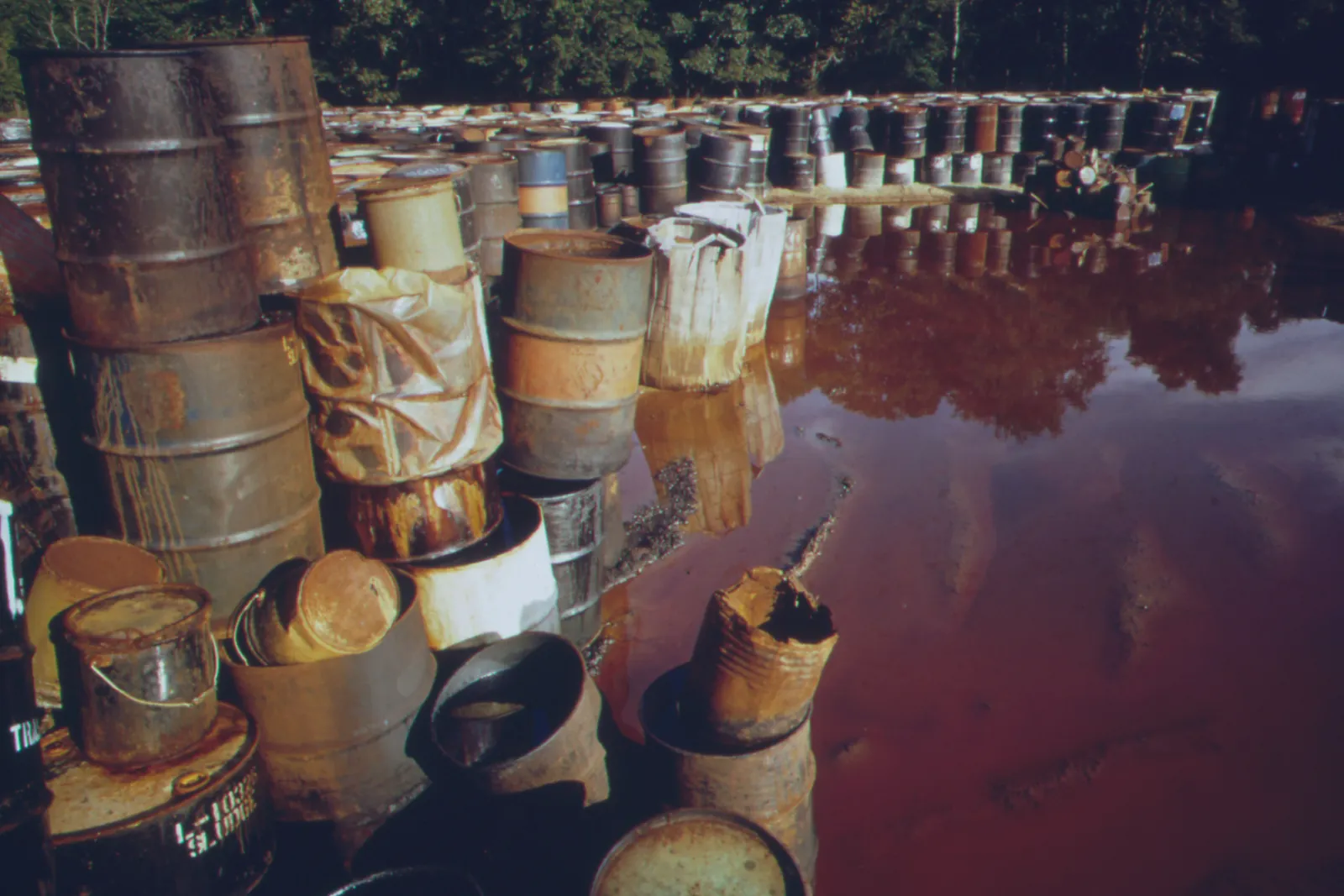 A pile of drums containing hazardous waste in a swamp