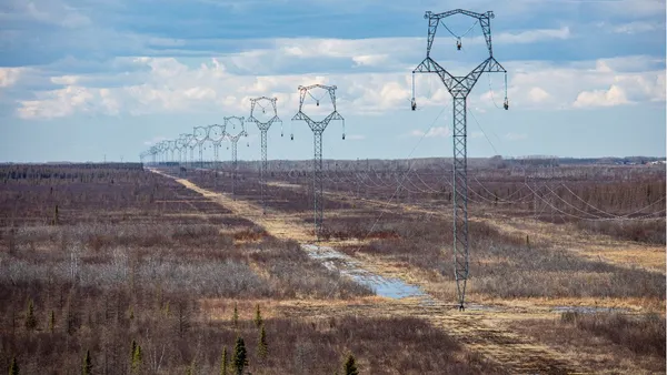 A high-voltage transmission line runs through barren woods.