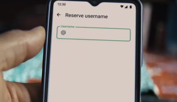 WhatsApp usernames