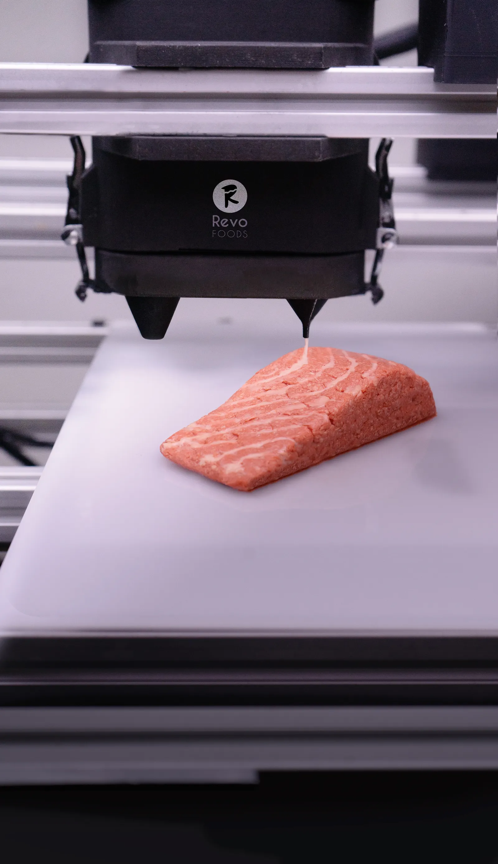 Revo Foods&#x27; 3D printing technology used to produce a salmon alternative.