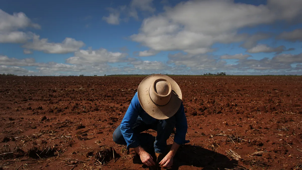 A farmer bends over to tend to a seedling in a vast, brown field.