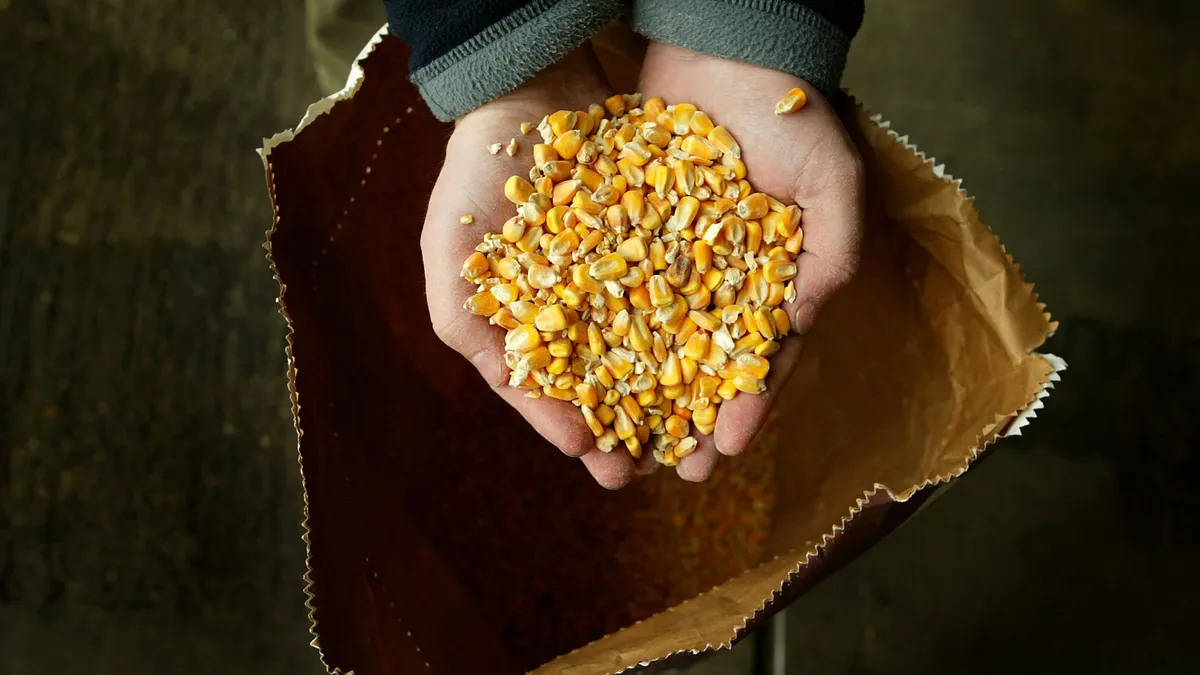 A person pulls a handful of corn kernels out of a paper bag. Only their hands are in focus.