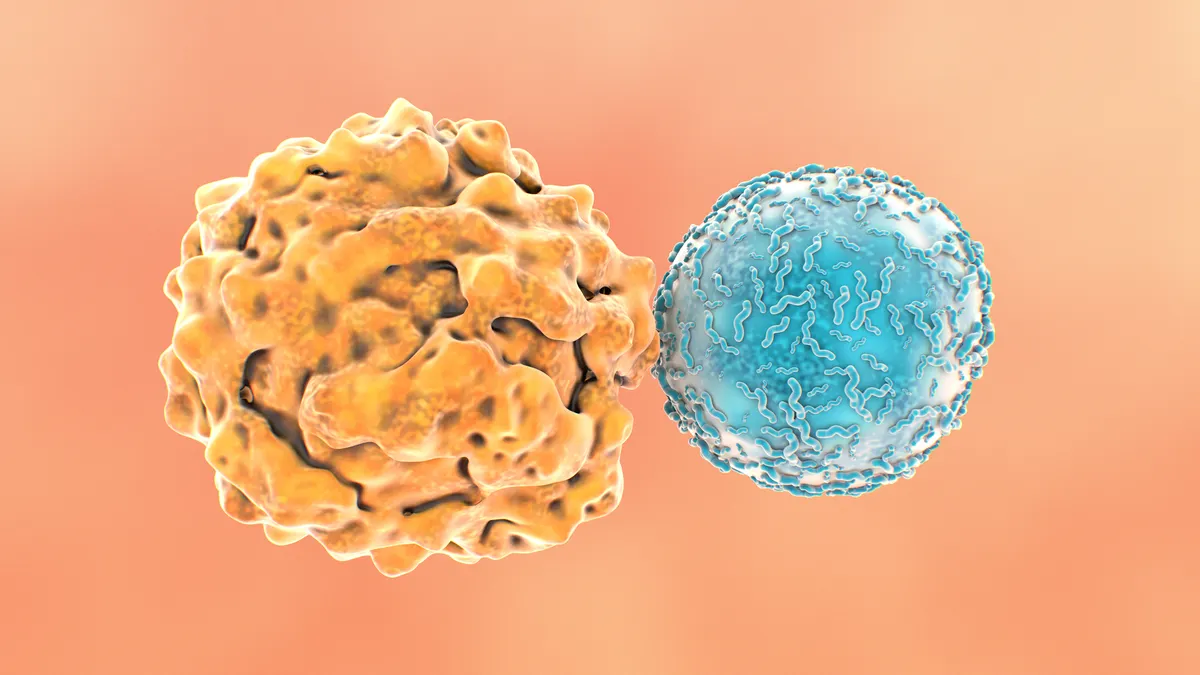 An illustration of a T cell attacking a cancer cell