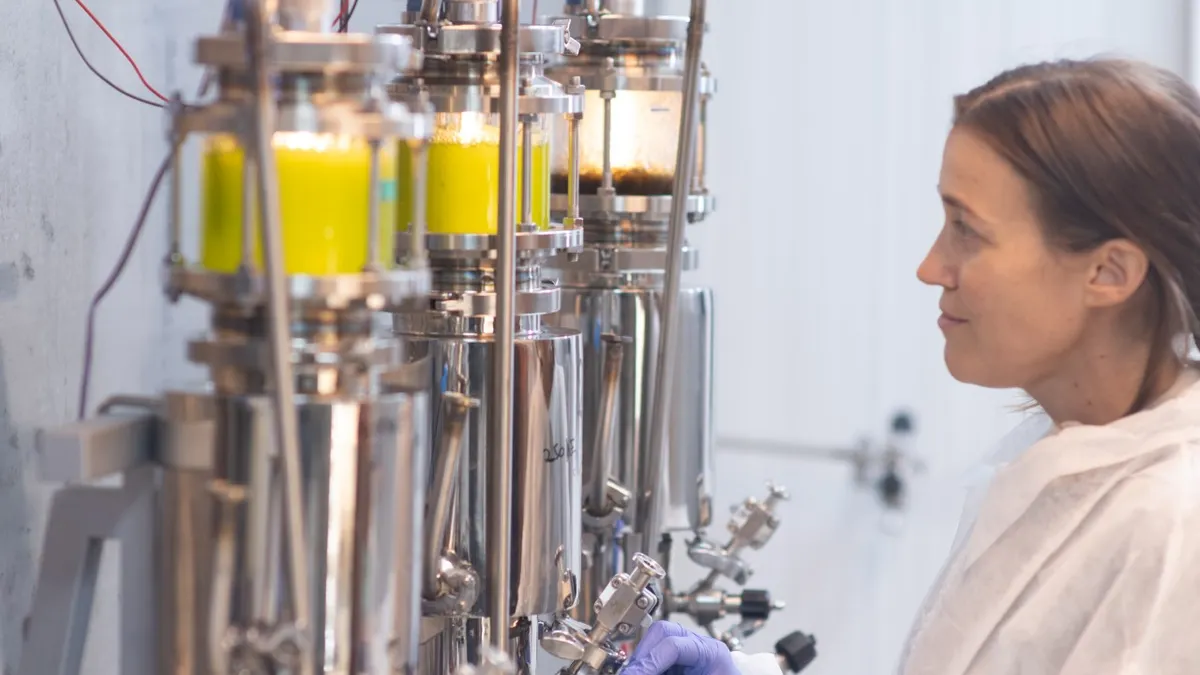 A scientist stands to the right of Brevel's microalgae ingredient culturing equipment, made up of metal tanks and glass chambers with yellow substances..