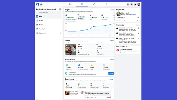 Meta Professional Dashboard