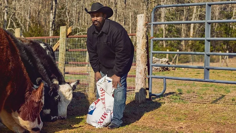 Black farmers call on Tractor Supply CEO to resign following diversity ...