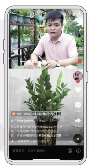 Douyin co-streaming commerce