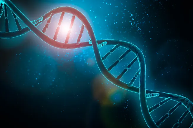 Child dies in Capsida study of rare disease gene therapy