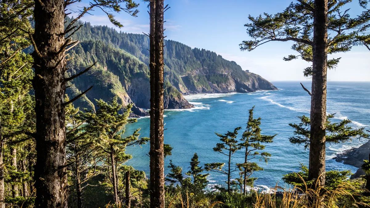 The Pacific Ocean seen from between trees off the coast of Oregon in Heceta Head Lighthouse State Park.