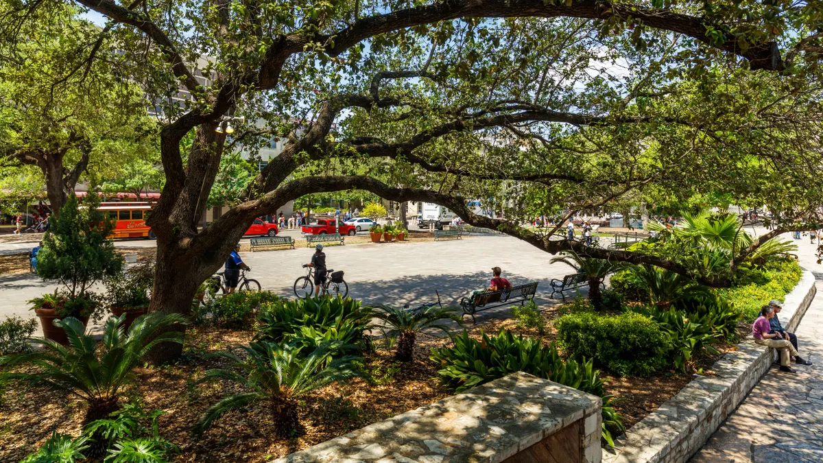 Two bicyclists, pedestrians, cars and a red tour bus seen framed by a large tree on a sunny day.