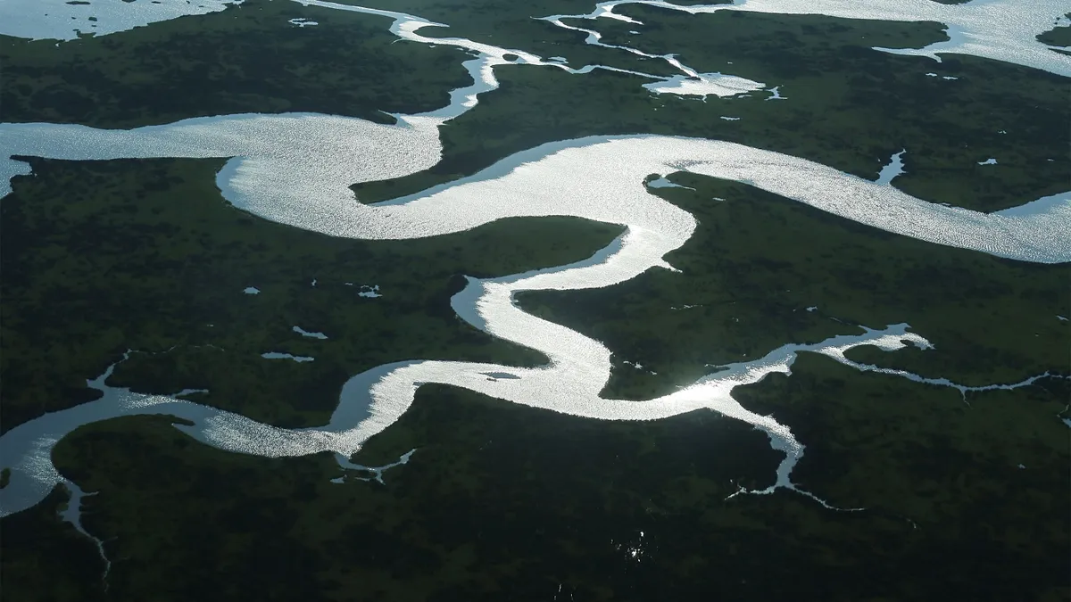 Coastal waters flow through Louisiana wetlands.