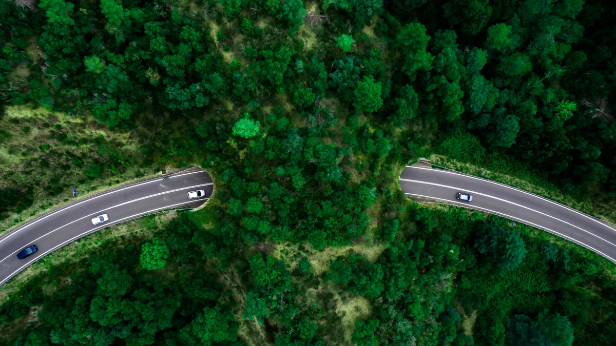 Green bridges for wildlife to permit animals cross human-made barriers like highways and railroads.