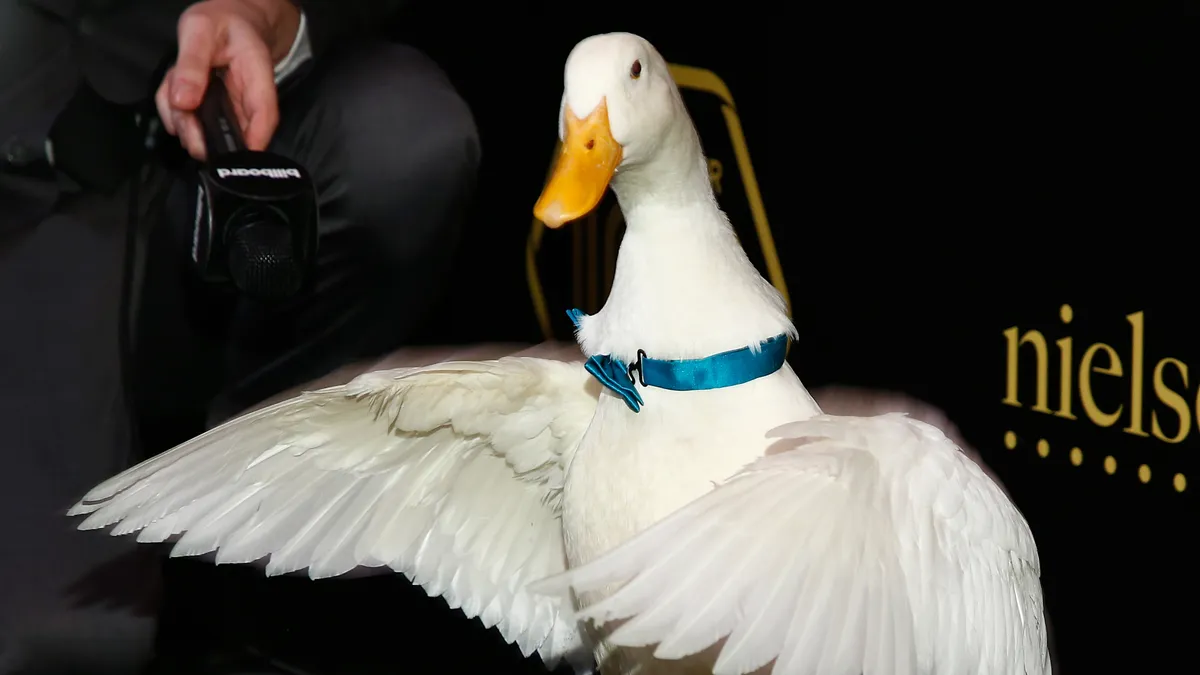 Aflac duck at awards ceremony