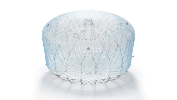 A rendering of a rounded device with a wire structure surrounded by mesh.