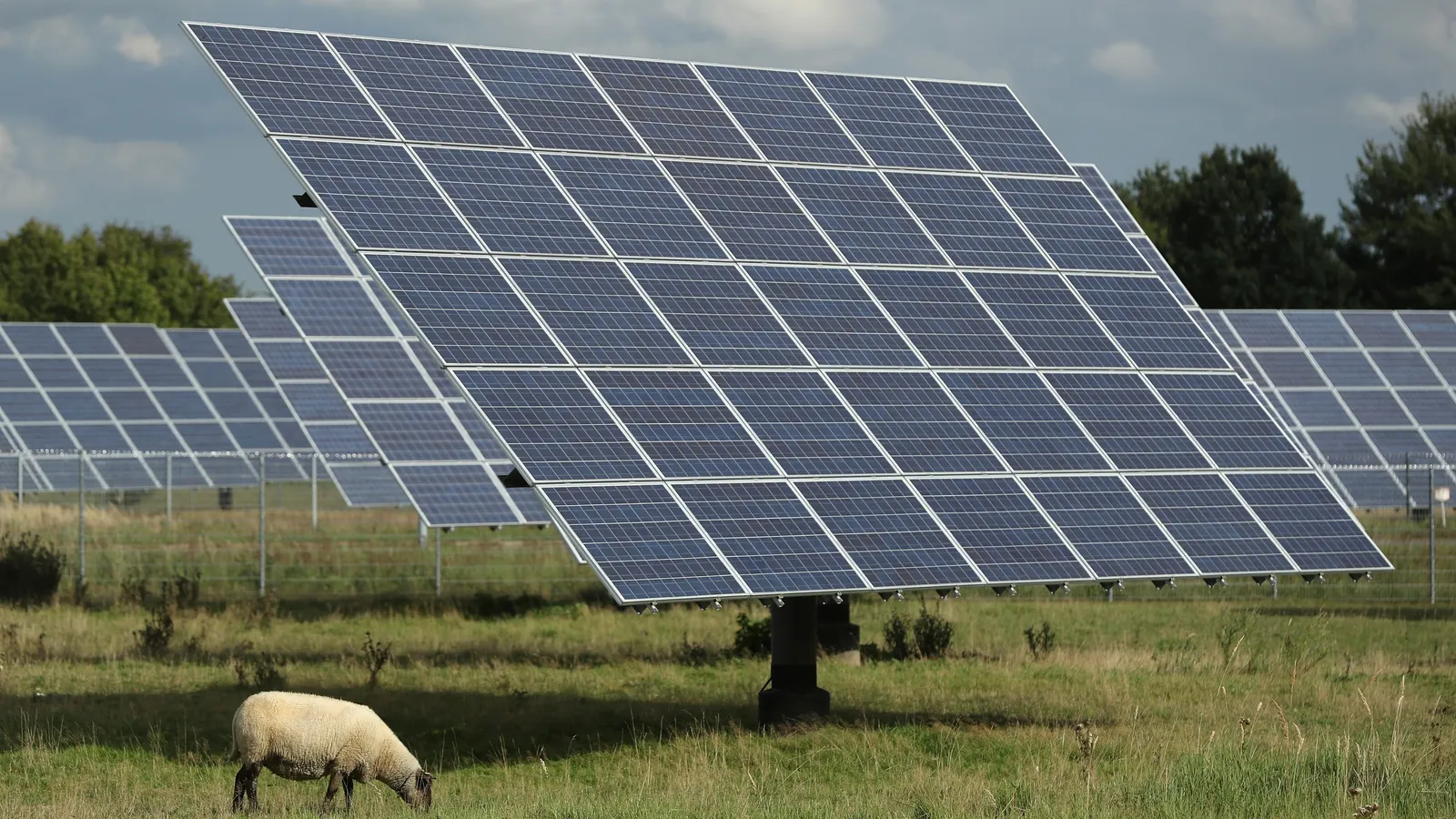 Virginia defines agrivoltaics, expanding opportunities for solar