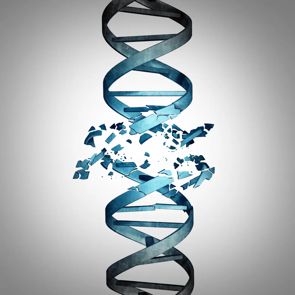 dna helix barrier