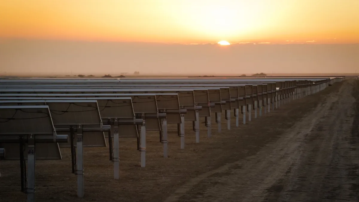 solar panel set up across the ground with the setting sun