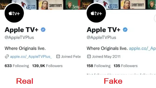 Twitter verified accounts