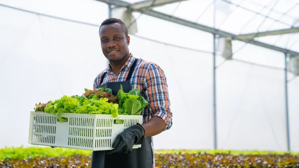 A farmer holding a crate of leafy greens.